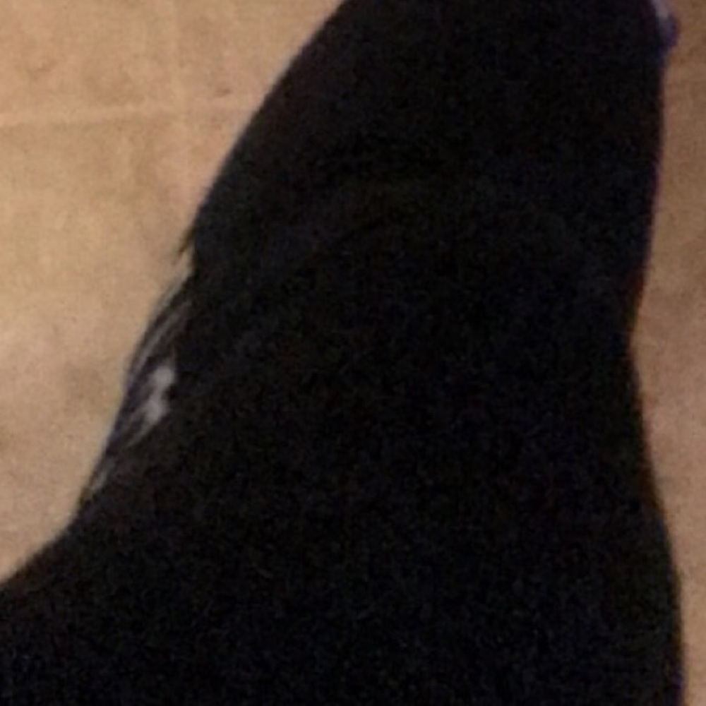 Meet your Posher, Samara